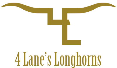 4 Lane's Longhorns logo